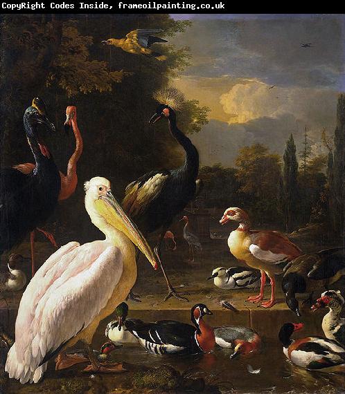 HONDECOETER, Melchior d A Pelican and Other Birds Near a Pool,